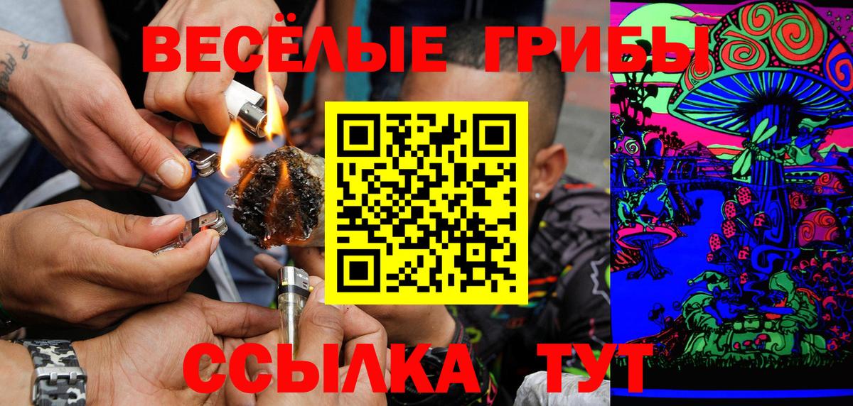 Псилоцибиновые грибы Psilocybine cubensis Фролово